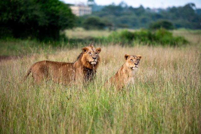Ultimate Big Five & Beach: The Ultra-Luxury Journey