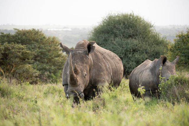 Small-Group Discovery: Uganda, Kenya, Tanzania & Zanzibar