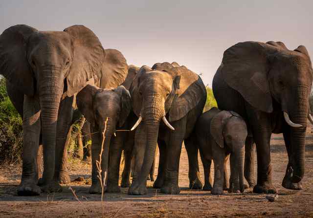 Grand East Africa and Indian Ocean islands grand tour itinerary