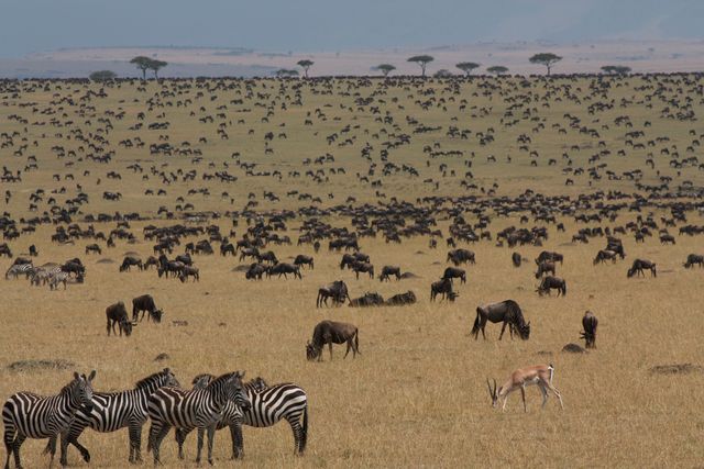 Build a custom East Africa itinerary around your favorite experiences