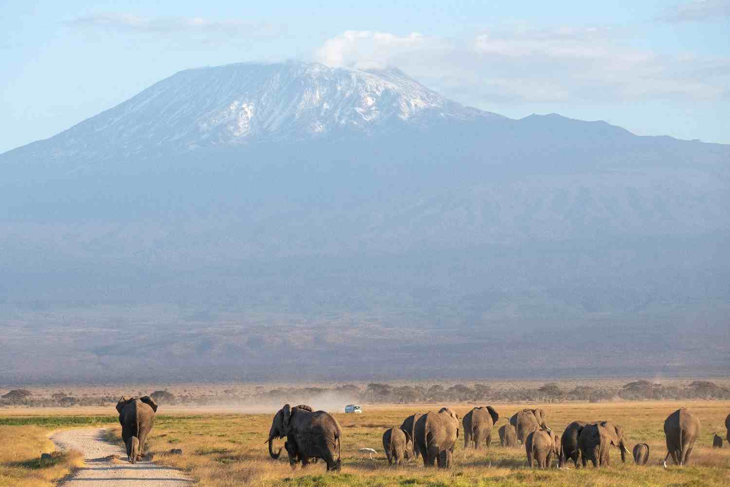 Amboseli National Park
