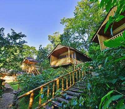 Buhoma Lodge — Buhoma Sector, Bwindi Impenetrable Forest, Uganda