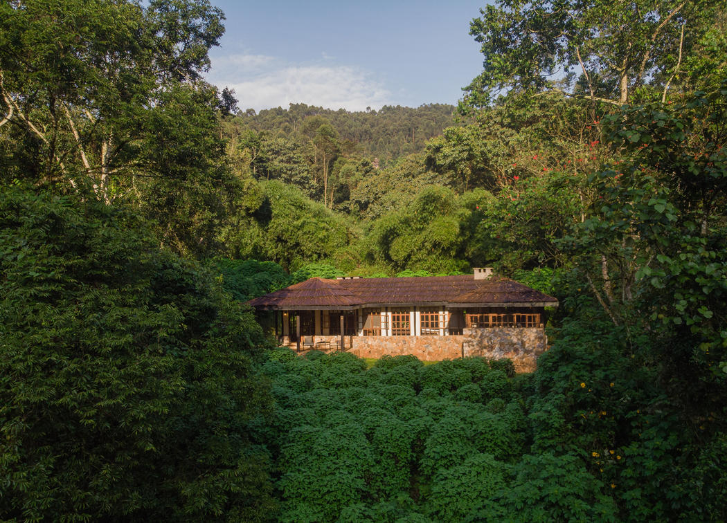 Bwindi Lodge — Buhoma Sector, Bwindi Impenetrable Forest, Uganda