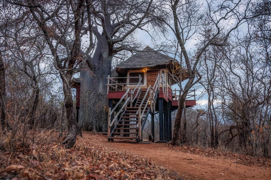 Treehouse-style camp at the edge of Tarangire