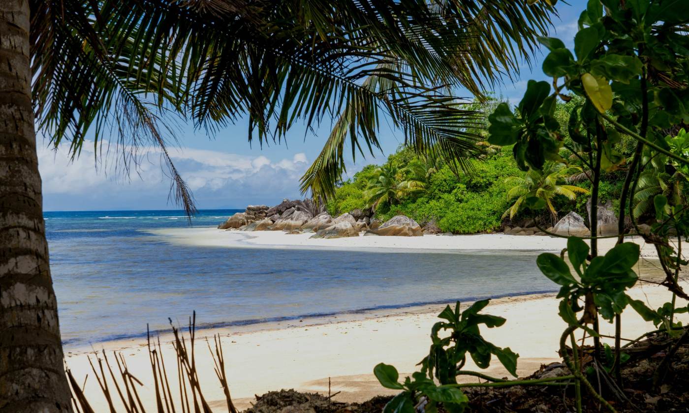 Beach seen through palm fronds with granite boulders, Seychelles