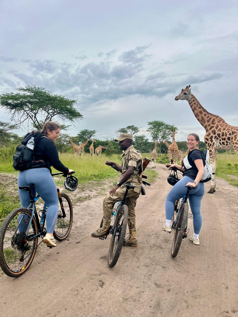 A ranger in uniform on a bicycle waits with two riders as giraffes stand on the track ahead at Lake Mburo