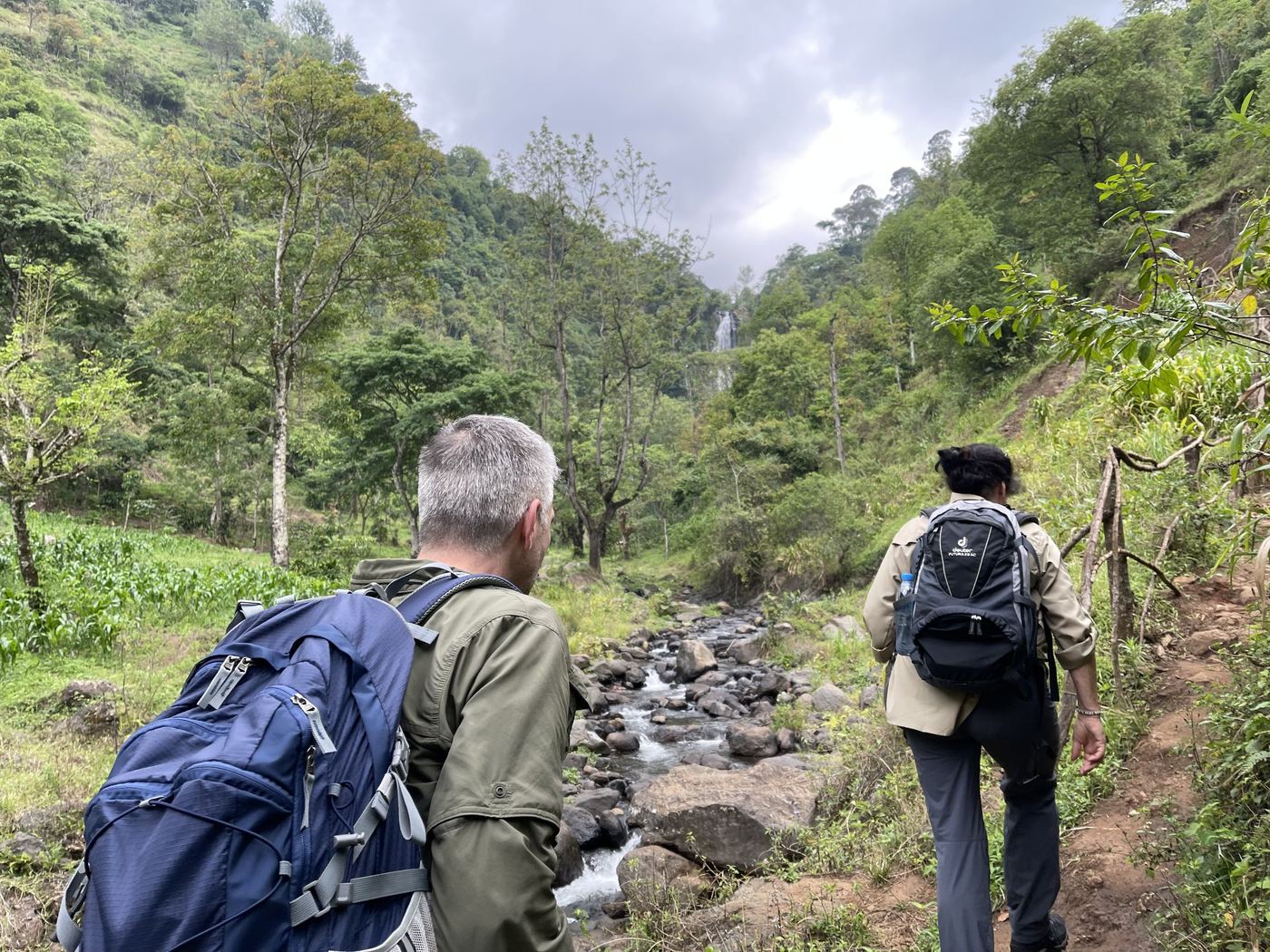 Guests hiking along a stream towards a waterfall in a green valley