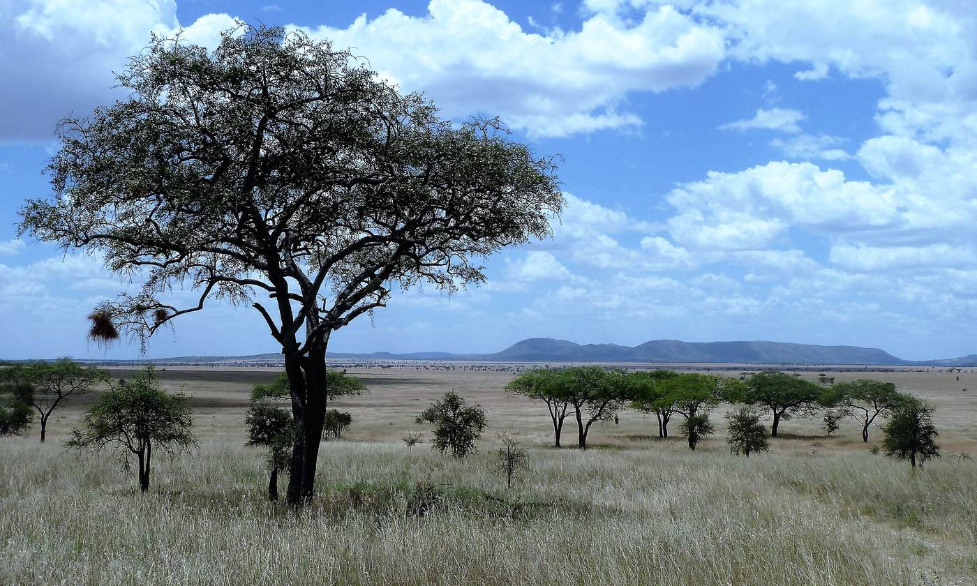 18 Day Four Country Safari: Uganda, Rwanda, Kenya and Tanzania