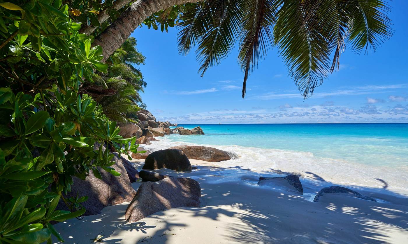 Palm-shaded beach with turquoise sea and granite rocks