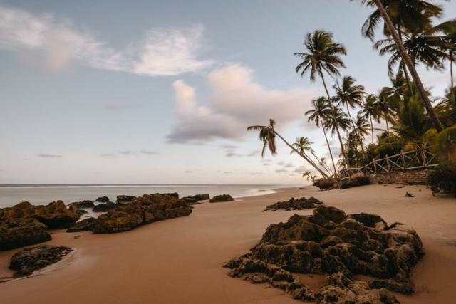 Palm trees leaning over a sandy Zanzibar beach with rocks and soft clouds