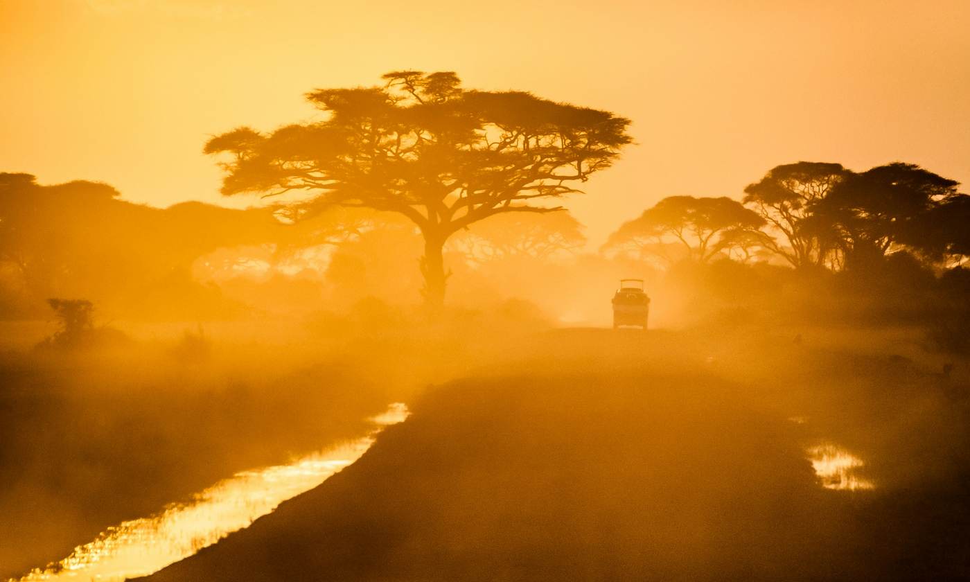 Safari vehicle driving through golden dust at sunset beneath an acacia