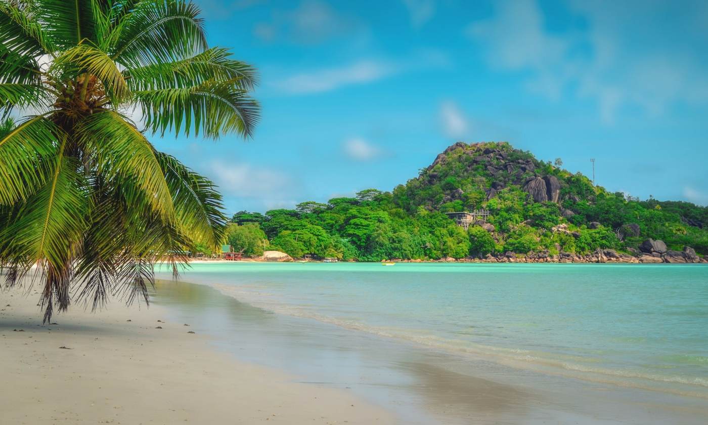 Seychelles beach with a leaning palm and a wooded granite hill