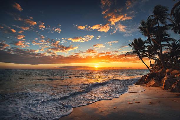 Sunset over a Seychelles beach with palm trees and a glowing orange sky