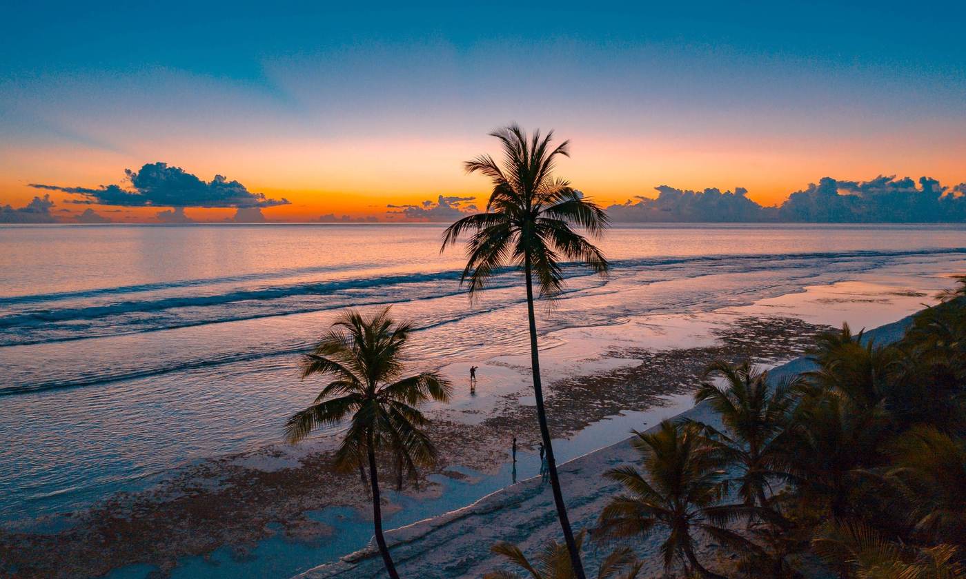 Two tall palms above a reef flat at sunset on Zanzibar
