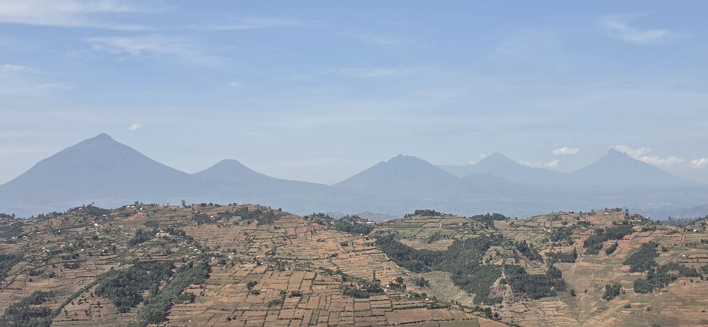 Virunga volcanoes rising above terraced hills