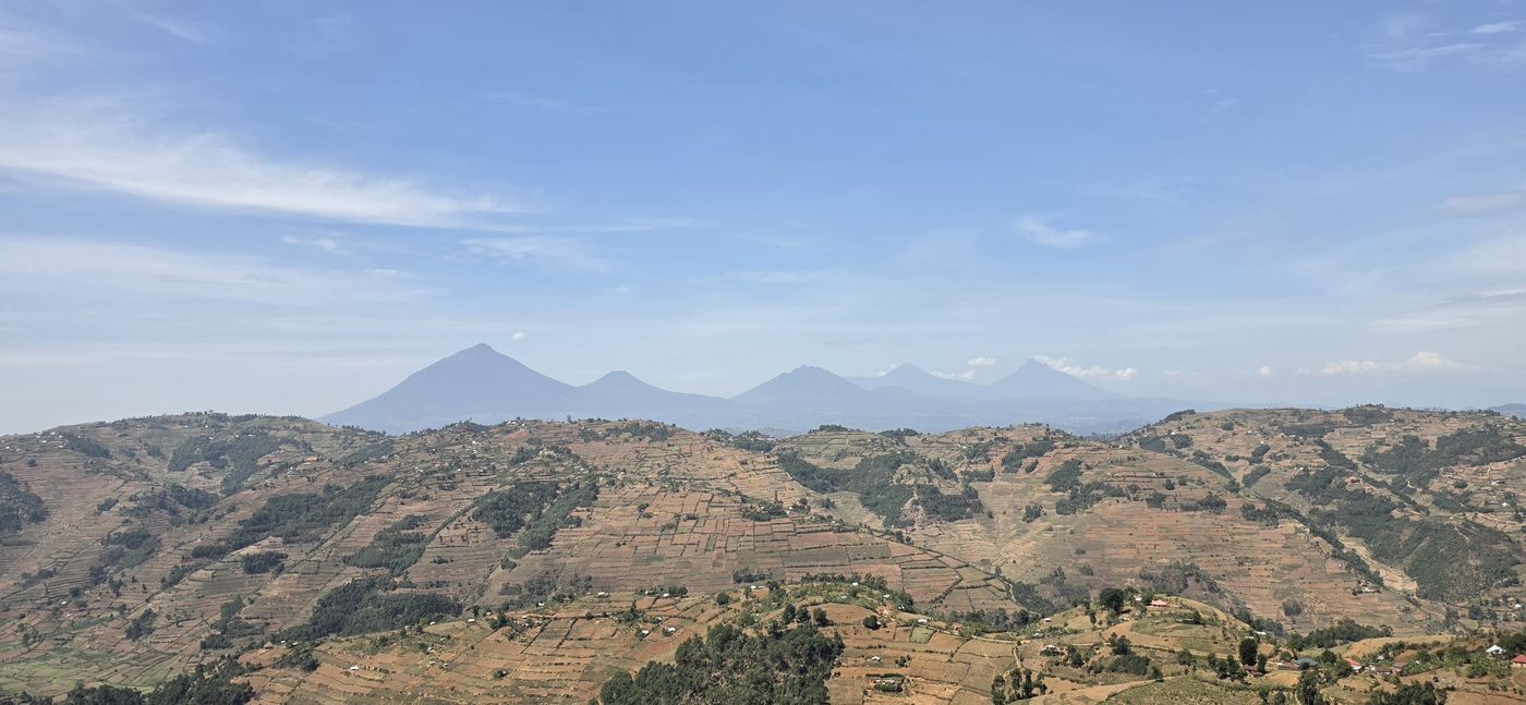 Virunga Lodge