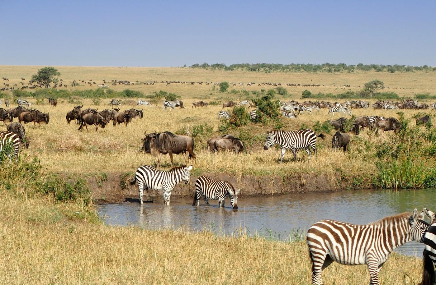 Small-Group Discovery: Uganda, Kenya, Tanzania & Zanzibar