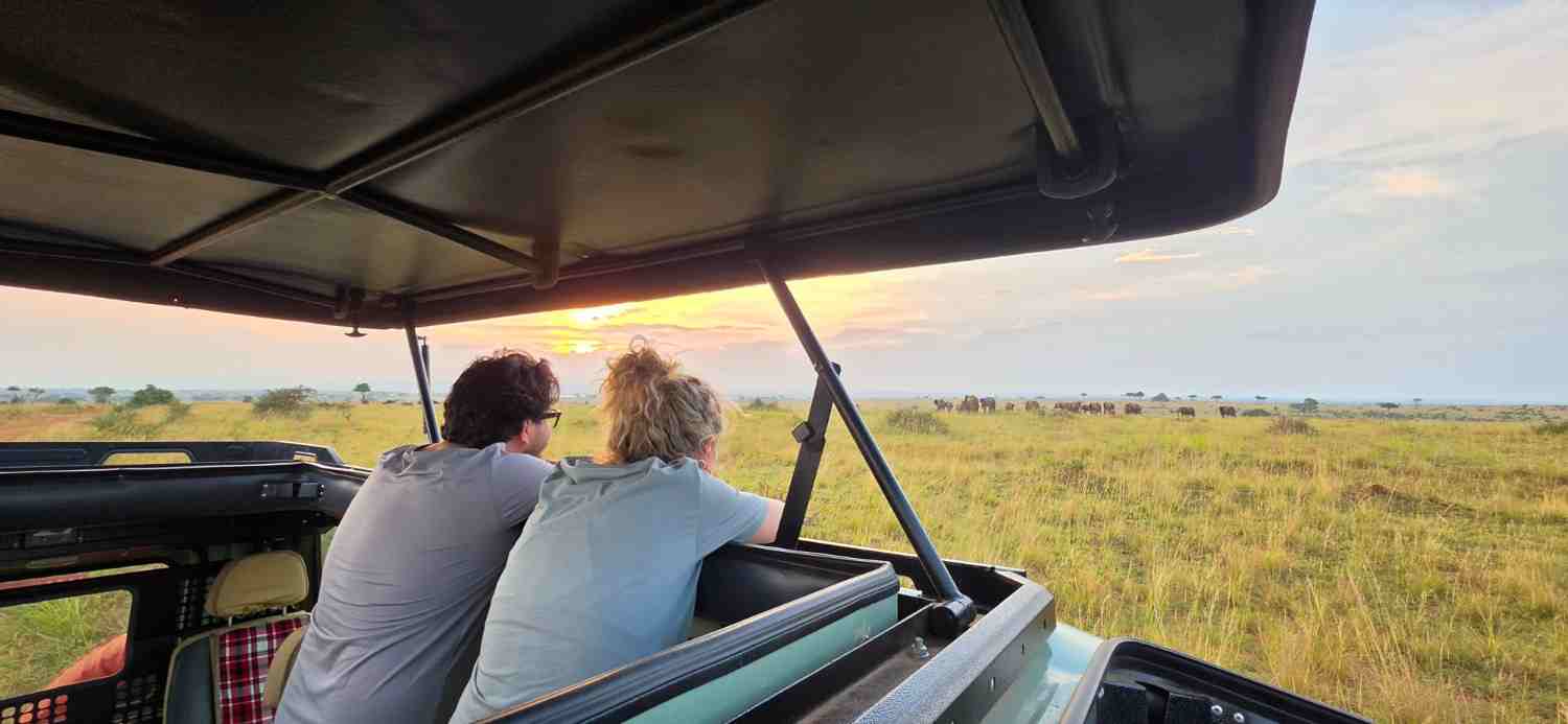 Classic Gorilla chimps and wildlife Trekking Safari