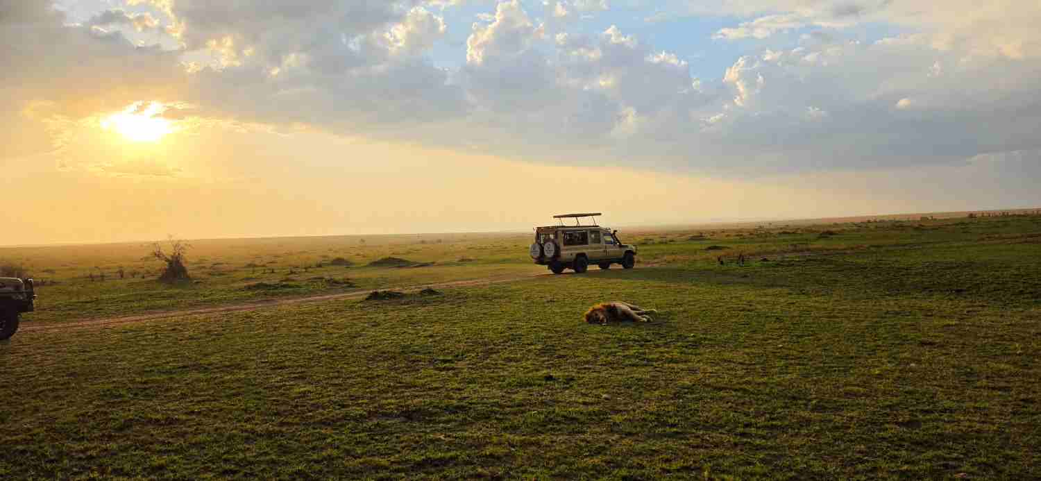 17-Day Uganda Kenya Tanzania Safari | Gorillas, chimps, Big Five & Great Migration