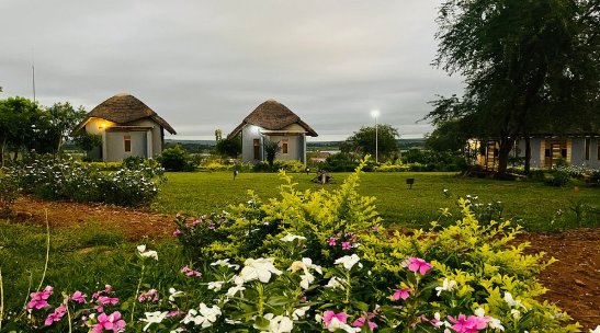 Ikorom Safari Lodge | midrange Safari Lodge in Murchison Falls, Uganda — murchison falls national park