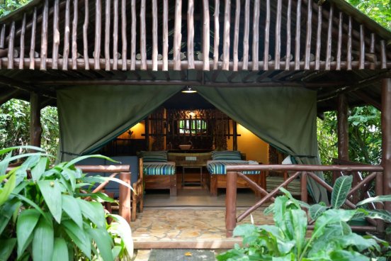kibale forest camp — Bigodi