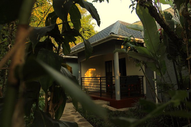Kibale Forest Lodge — Kibale